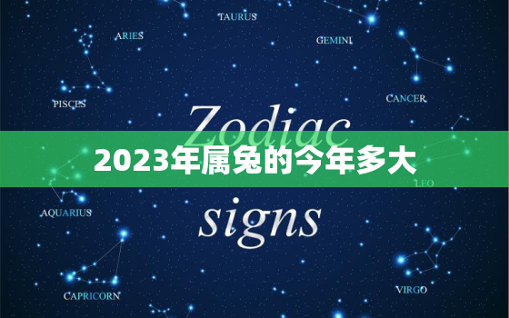 2023年属兔的今年多大，2023年属兔吗