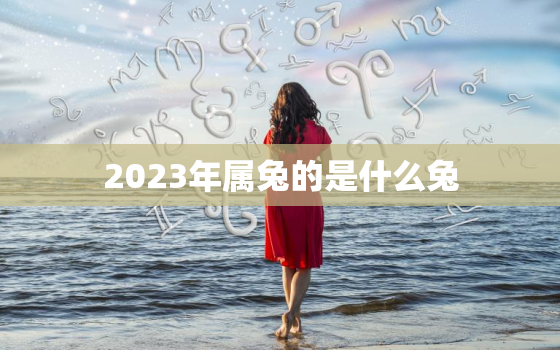 2023年属兔的是什么兔，2023年属兔是什么命人