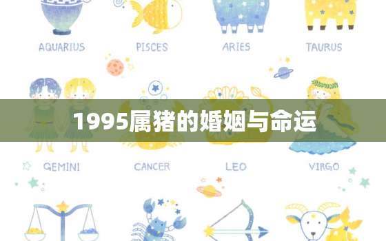 1995属猪的婚姻与命运，1995属猪的婚姻与命运怎么样