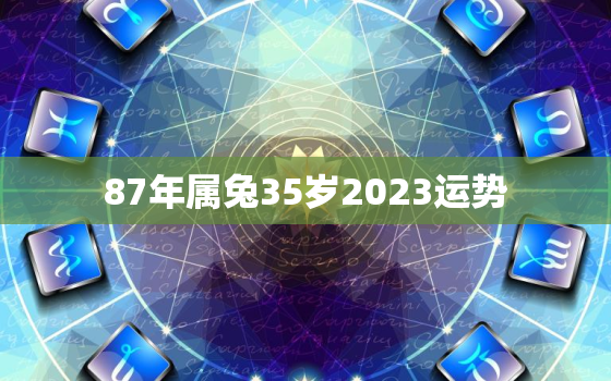 87年属兔35岁2023运势，2023年属兔子的运程