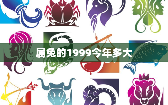 属兔的1999今年多大，属兔1999年今年多大