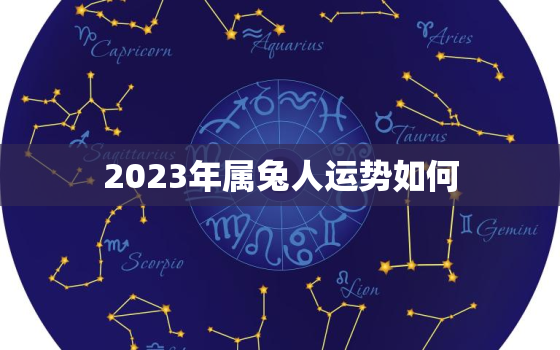 2023年属兔人运势如何，属兔2023年运势