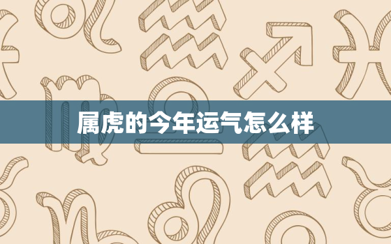 属虎的今年运气怎么样，属兔的今年的运气怎么样