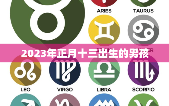 2023年正月十三出生的男孩，2023年正月十三出生的男孩名字