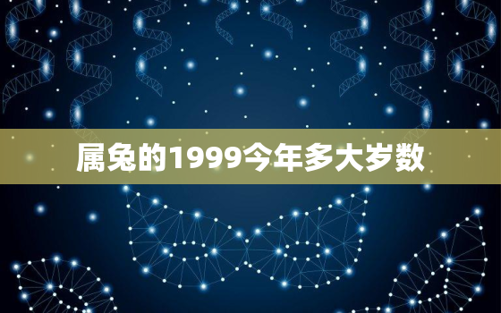 属兔的1999今年多大岁数，属兔1999今年多少岁