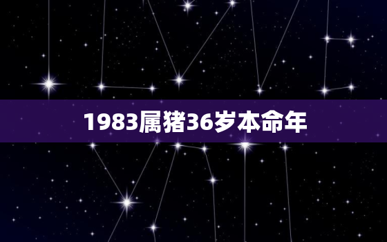 1983属猪36岁本命年，83年属猪的本命
是什么
