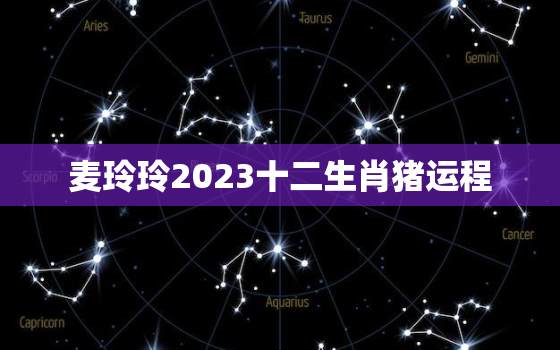 麦玲玲2023十二生肖猪运程，麦玲玲2020年属猪运程