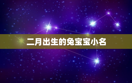 二月出生的兔宝宝小名，2023年二月出生的兔宝宝小名