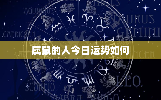 属鼠的人今日运势如何，属鼠的今日运势怎么样