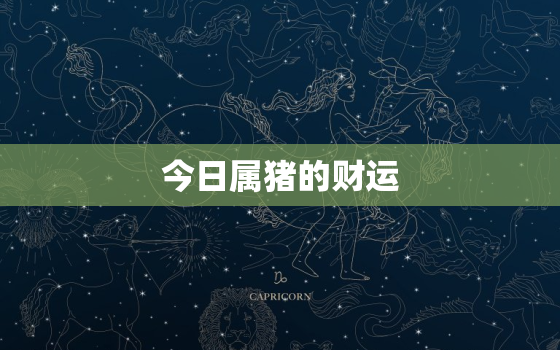 今日属猪的财运，今日属猪的财运方位在哪1959年财运在那方