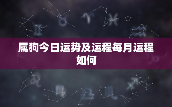 属狗今日运势及运程每月运程如何，属狗人今日运势最准