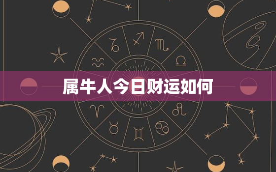 属牛人今日财运如何，属牛人今日财运怎样