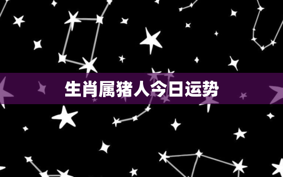 生肖属猪人今日运势，生肖属猪人今日运势每日运程