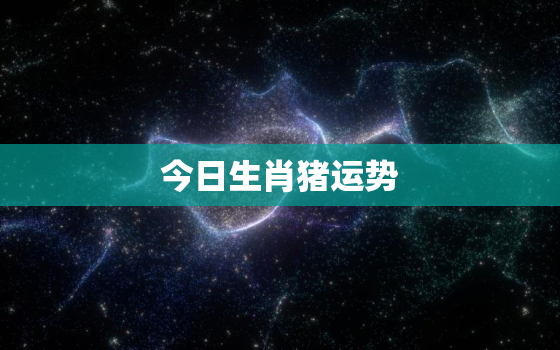 今日生肖猪运势，12生肖猪今日运势