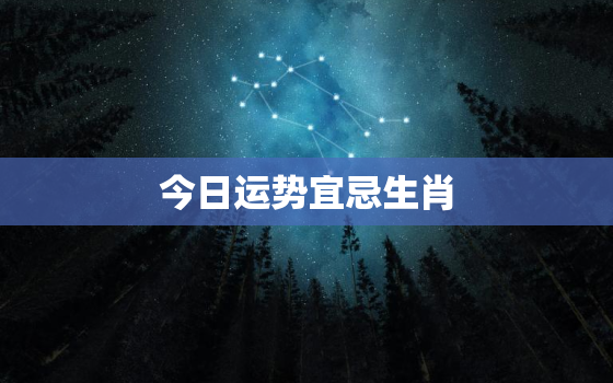 今日运势宜忌生肖，今日运势生肖和颜色和数字