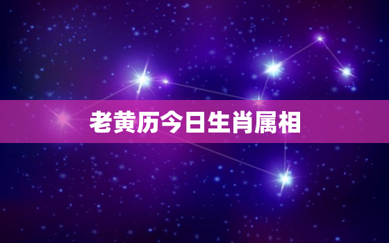 老黄历今日生肖属相，老黄历今日生肖是什么意思