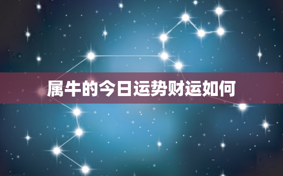 属牛的今日运势财运如何，属牛今日运势及财运非常网