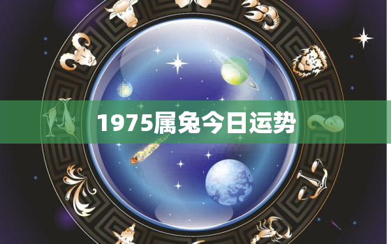 1975属兔今日运势，75属兔人今日运势