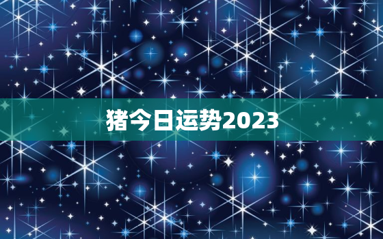 猪今日运势2023，猪今日运势5月10