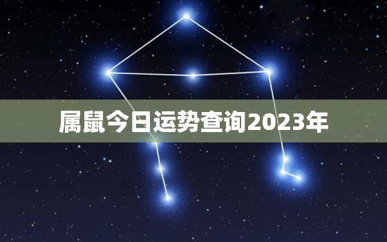 属鼠今日运势查询2023年，属鼠今日运势查询2023年运势如何