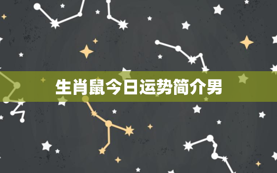 生肖鼠今日运势简介男，生肖鼠今日运势简介男孩