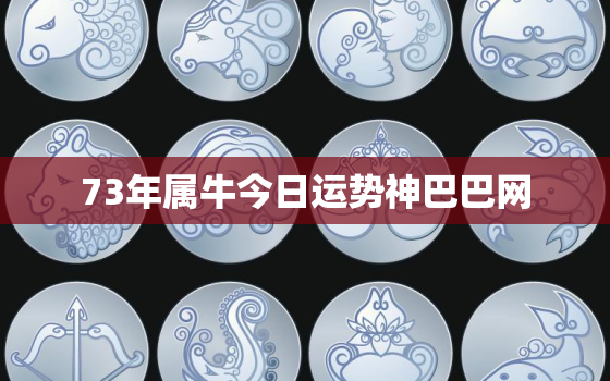 73年属牛今日运势神巴巴网，73年属牛人今日的运势