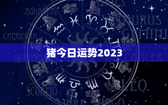 猪今日运势2023，猪今日运势查询