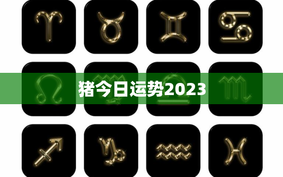 猪今日运势2023，猪今日运势打麻将方位