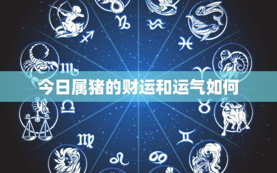 今日属猪的财运和运气如何，今日属猪运势和财运如何