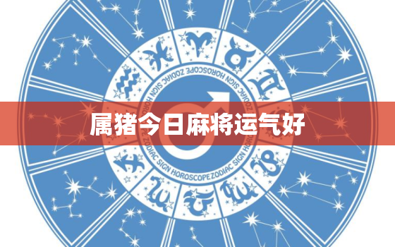 属猪今日麻将运气好，属猪今日麻将吉祥数字