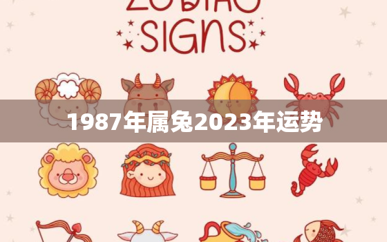 1987年属兔2023年运势，1987年属兔2023年运势及运程详解