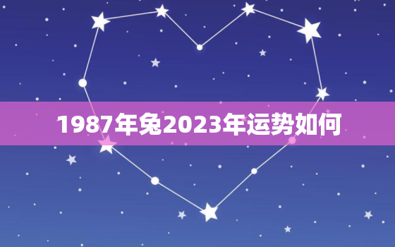 1987年兔2023年运势如何，1987年属兔人2023年运势