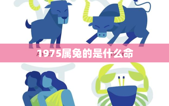 1975属兔的是什么命，1975属兔的是什么命男