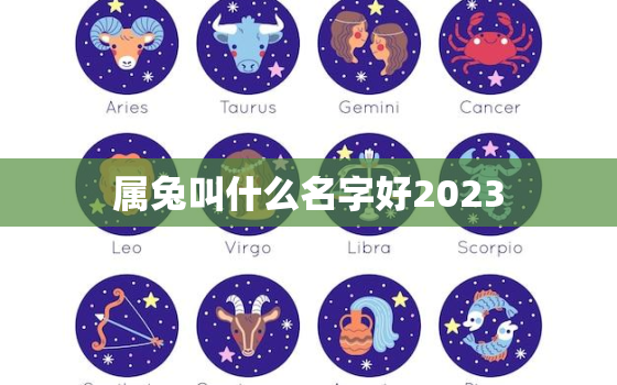 属兔叫什么名字好2023，属兔的取什么名字旺财运