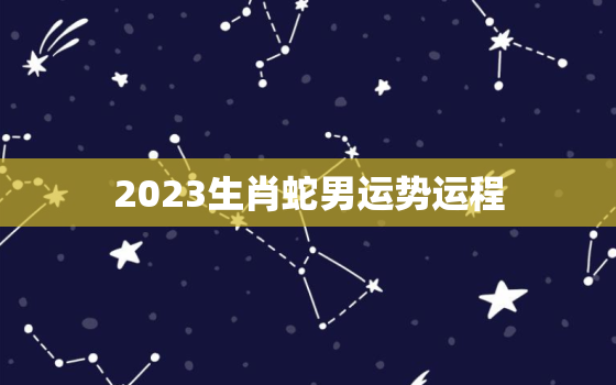 2023生肖蛇男运势运程，2023生肖蛇男运势运程查询