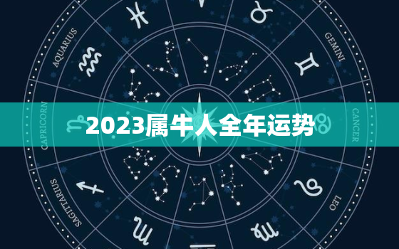 2023属牛人全年运势，2023属鼠全年运势