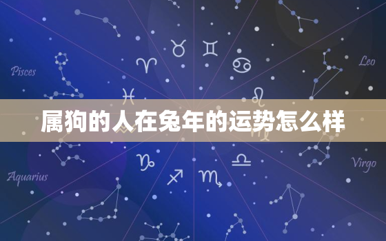 属狗的人在兔年的运势怎么样，属狗属兔2021年运势及运程每月运程