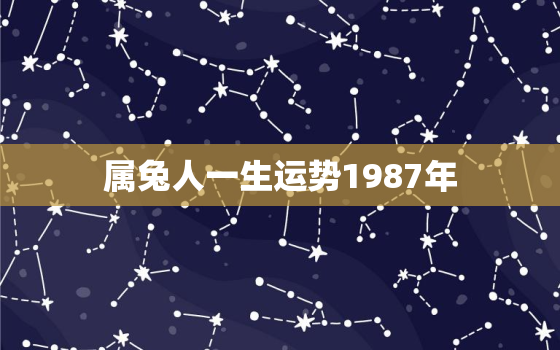 属兔人一生运势1987年，属兔人一生运势1987年出生