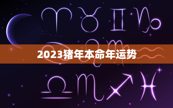 2023猪年本命年运势，2023年猪的运势