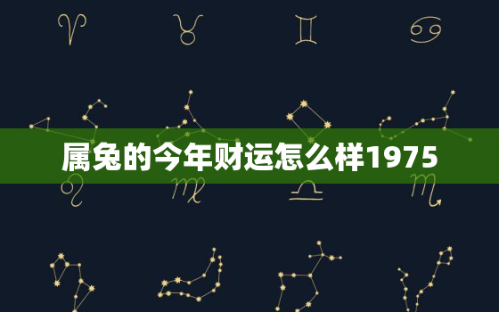 属兔的今年财运怎么样1975，属兔的今年财运怎么样2020