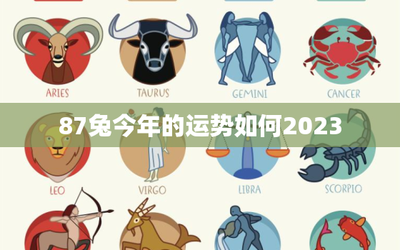 87兔今年的运势如何2023，87兔今年的运势如何2021