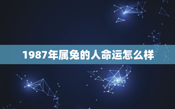 1987年属兔的人命运怎么样，1987年属兔的命运如何