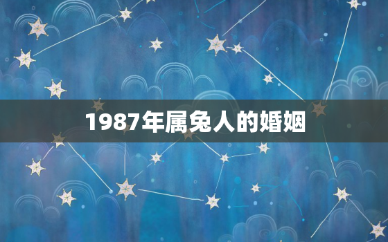 1987年属兔人的婚姻，1987年属兔人婚姻运势