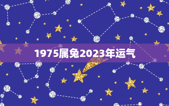 1975属兔2023年运气，1975属兔2023年运气如何