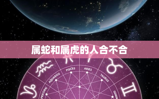 属蛇和属虎的人合不合，属蛇和属虎的合吗