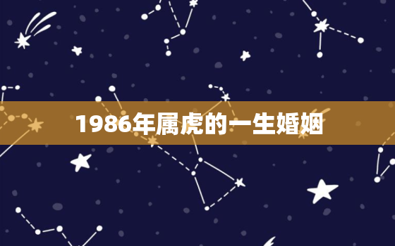 1986年属虎的一生婚姻，1986年属虎的正缘