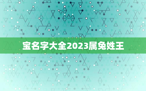 
宝名字大全2023属兔姓王，王姓兔宝宝取名大全2021款