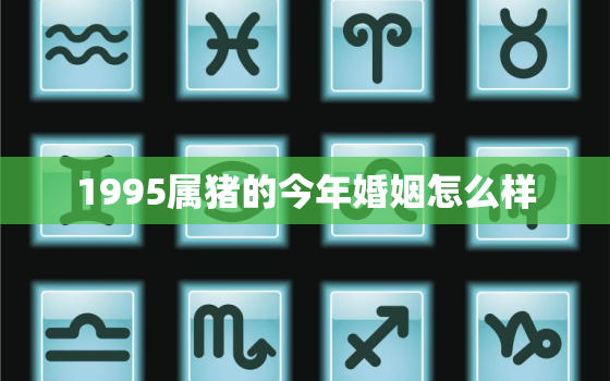 1995属猪的今年婚姻怎么样，1995属猪2021年有婚姻