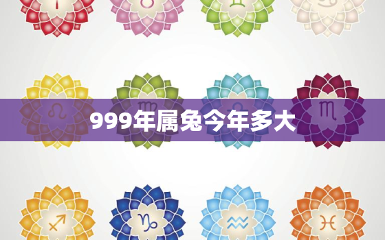 999年属兔今年多大，99年属兔的今年多大