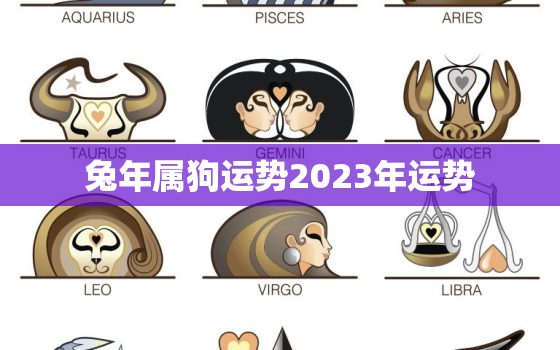 兔年属狗运势2023年运势，兔年属狗运势2022年运势